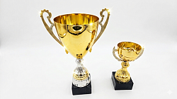 Coupe de Qualité